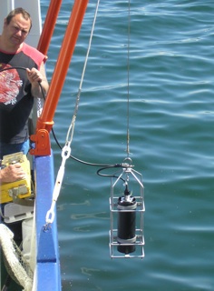fluoroprobe marine water monitoring
