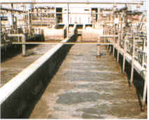 wastewater processing