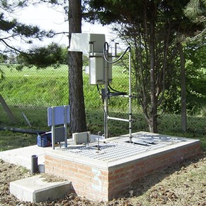 In situ ammonia monitoring